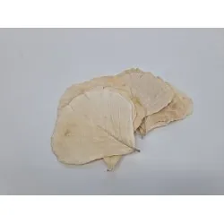 Cobra leaf bleached 50pcs