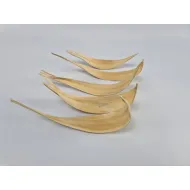 Cocos medium gebleekt 5st