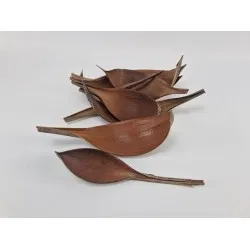 Cocos medium naturel 10st