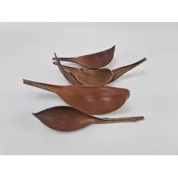 Cocos medium naturel 5st