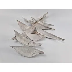 Cocos medium wit 10st