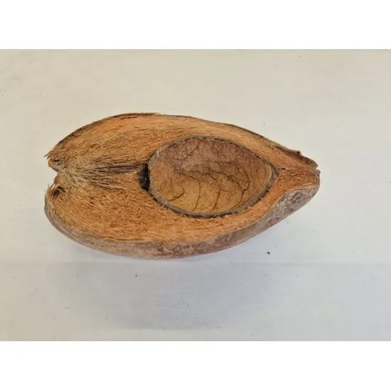 Cocosnoot half natural 1pc