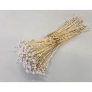 Congonhas bleached +/-100gr