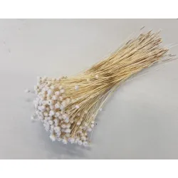 Congonhas gebleekt +/-100gr