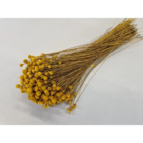 Congonhas geel +/-100gr