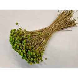 Congonhas lime green +/-100gr