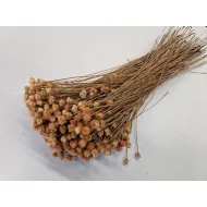 Congonhas melon +/-100gr