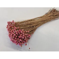 Congonhas pink +/-100gr