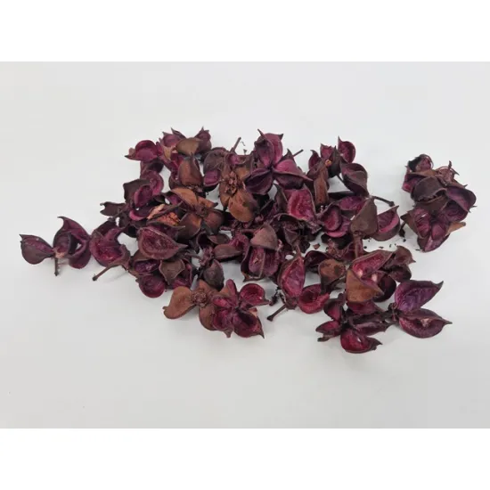 Cotton pods aubergine +/-50gr
