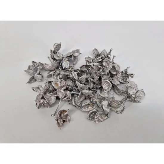 Cotton pods champagne +/-50gr