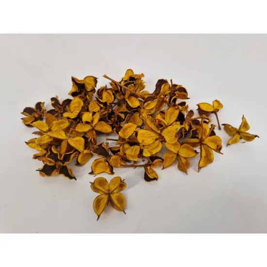 Cotton pods geel +/-250gr