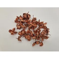 Cotton pods koper +/-50gr