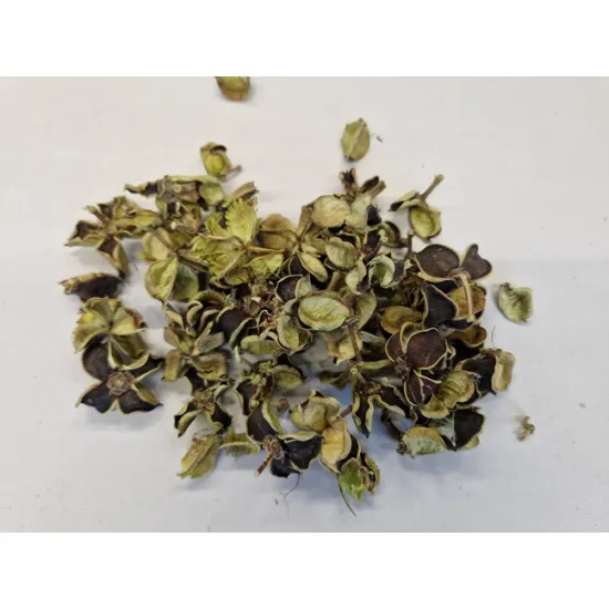 Cotton pods lichtgroen +/-250gr
