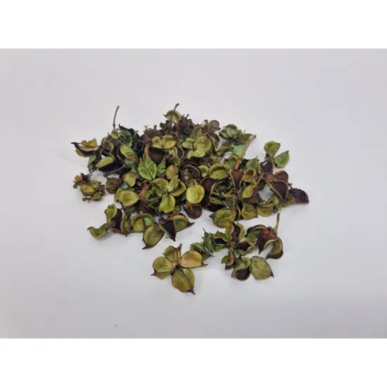 Cotton pods vert clair +/-50gr