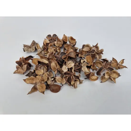 Cotton pods naturel +/-250gr