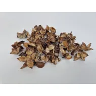 Cotton pods naturel +/-50gr