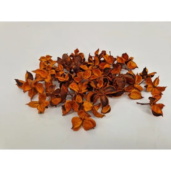 Cotton pods orange (apricot) +/-250gr