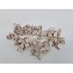 Cotton pods white wash +/-50gr