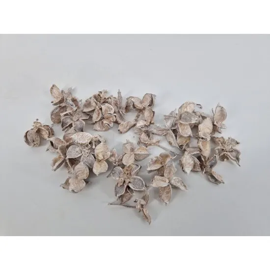 Cotton pods white wash +/-50gr