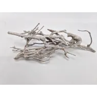 Curry bush 25-45cm white wash 5pcs