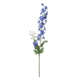 Delphinium 80cm bleu
