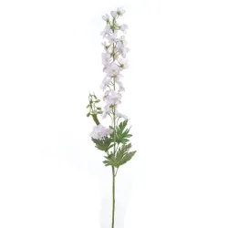 Delphinium 80cm rose
