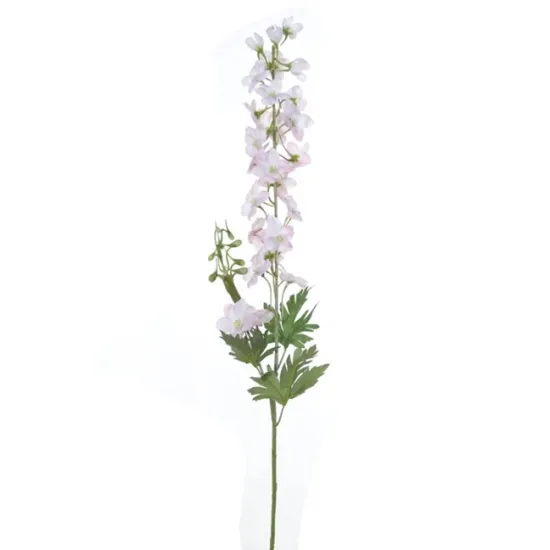 Delphinium 80cm pink