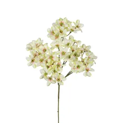 Dogwood mini 69cm vert clair