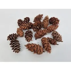 Douglasi natural +/-100gr