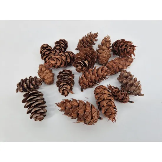 Douglasi naturel +/-100gr