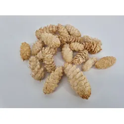 Douglasii bleached +/-500gr