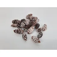 Douglasii white wash +/-500gr