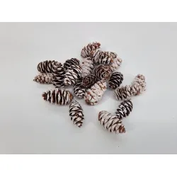 Douglasii white wash +/-500gr