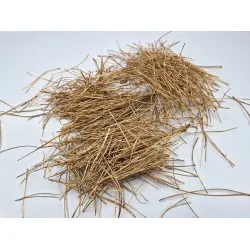 Aiguilles de pin séchées or +/-300gr