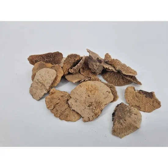Elf bank (sponge mushroom) natural 300gr