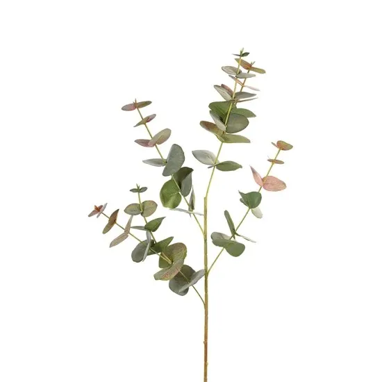 Eucalyptus 85cm vert/rouge