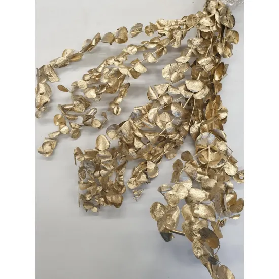 Eucalyptus cynereas goud +/-150gr