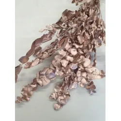 Eycalyptus cynereas rose gold +/-150gr