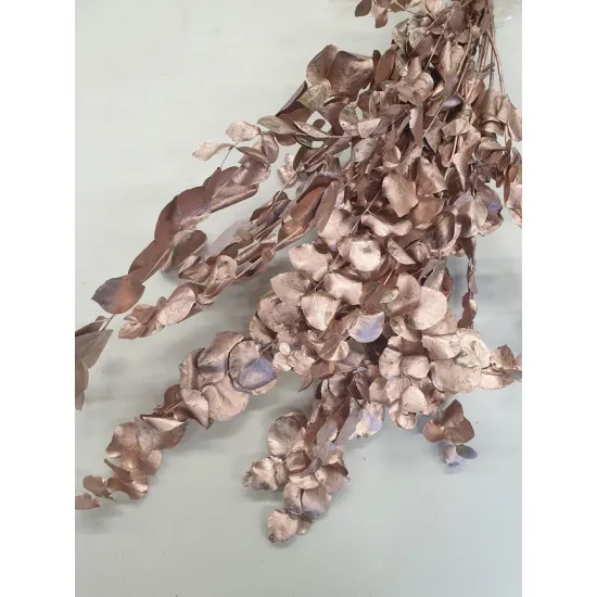 Eucalyptus cynereas rose gold +/-150gr