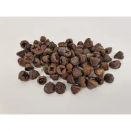 Eucalyptus fruit naturel +/-200gr
