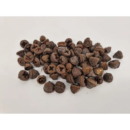 Eucalyptus fruit (pods) natural +/-1kg