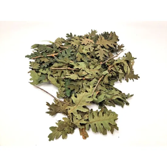 Oak leaves (preserved) green +/-200gr