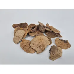 Sponge mushroom naturel 300gr