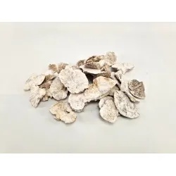 Sponge mushroom white wash 300gr