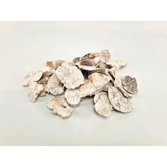 Sponge mushroom white wash 300gr