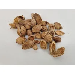 Fibre cup beetle half natural +/-100gr