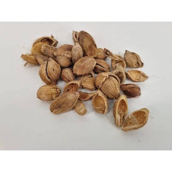 Fibre cup beetle half natural +/-100gr