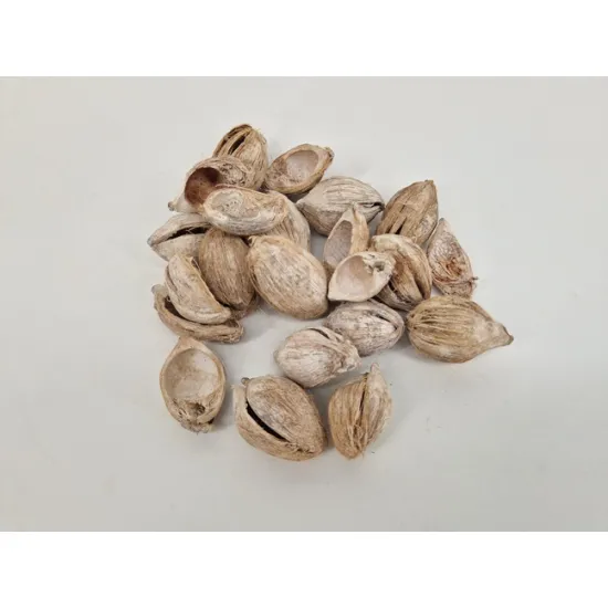 Fibre cup beetle half white wash +/-500gr