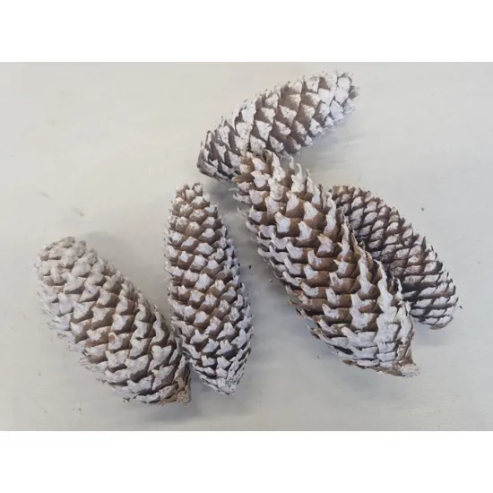 Norway spruce white wash +/-500gr