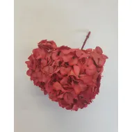 Hortensia stabilise (hydrangea) rouge +/-15cm
